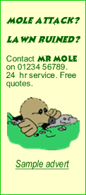 Mr Mole